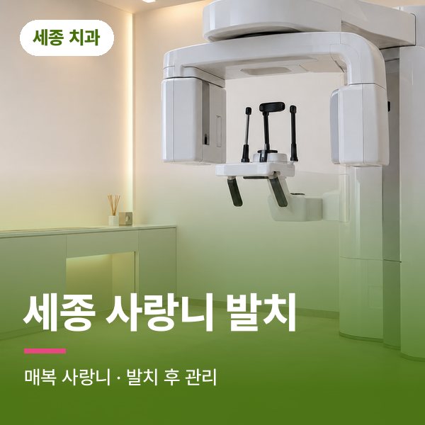 세종 사랑니 발치